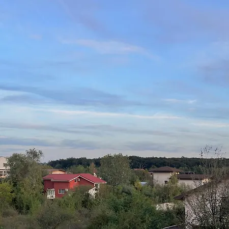 Life, Forest Vibes Διαμέρισμα Βουκουρέστι