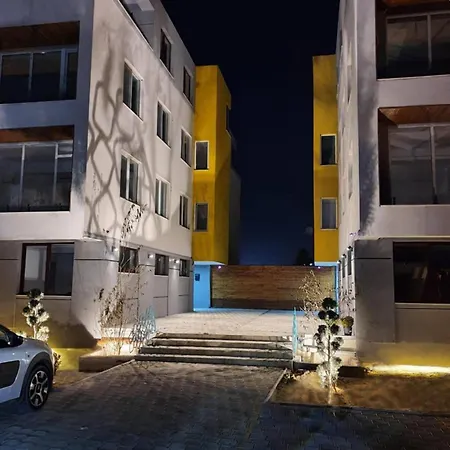 Apartament Life, Forest Vibes