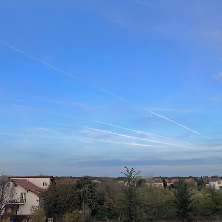 Life, Forest Vibes Bucureşti