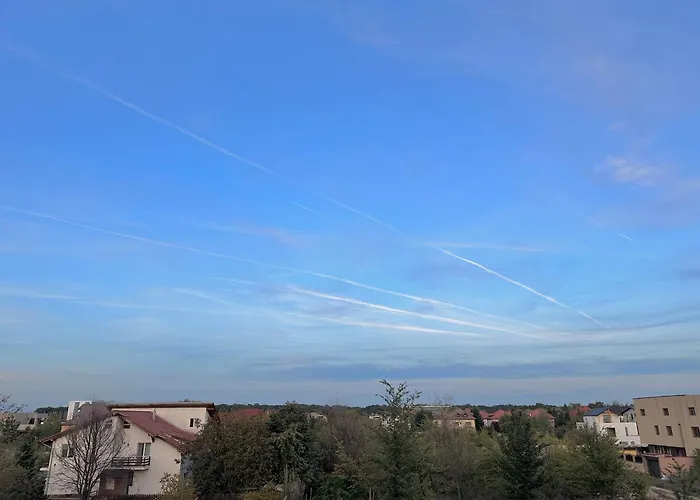 Life, Forest Vibes Bucureşti